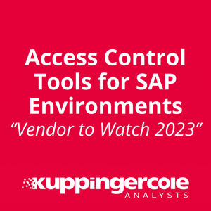Access Control Tools for SAP Environments