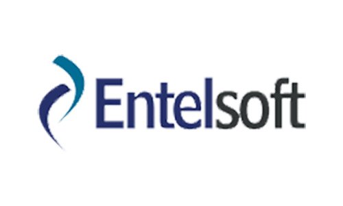 entelsoft logo